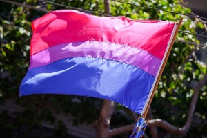 The_bisexual_pride_flag_3673713584